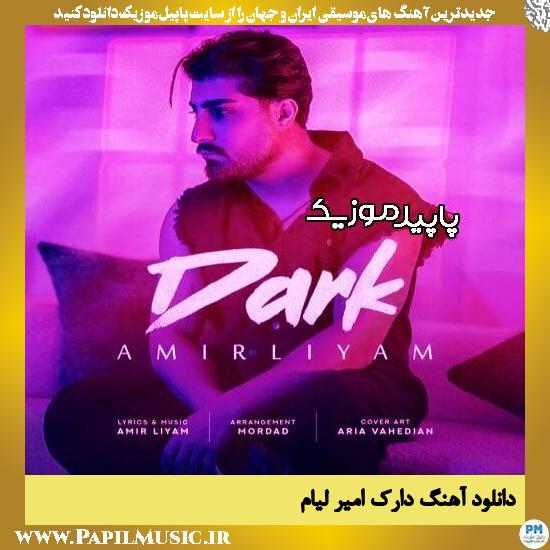 دانلود آهنگ دارک از امیر لیام
