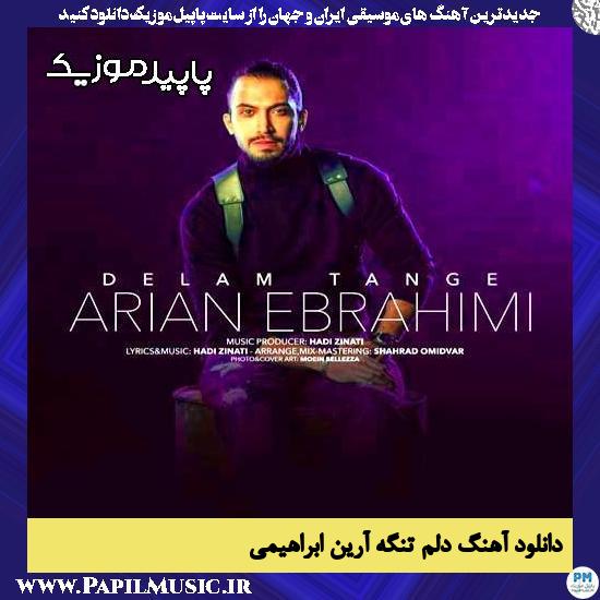 دانلود آهنگ دلم تنگه از آرین ابراهیمی 1 دانلود آهنگ دلم تنگه از آرین ابراهیمی