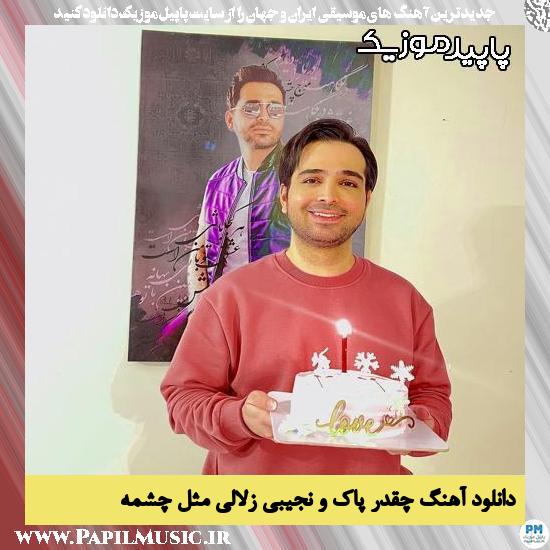 دانلود آهنگ چقدر پاک و نجیبی زلالی مثل چشمه از فرزاد فرخ