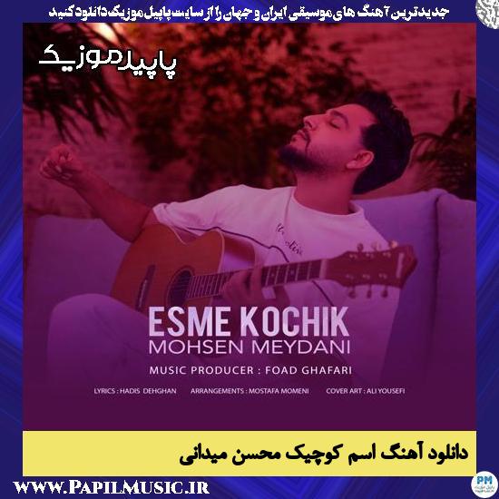 دانلود آهنگ اسم کوچیک از محسن میدانی
