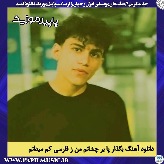 دانلود آهنگ بگذار پا بر چشانم من ز فارسی کم میدانم از شروین مردانی