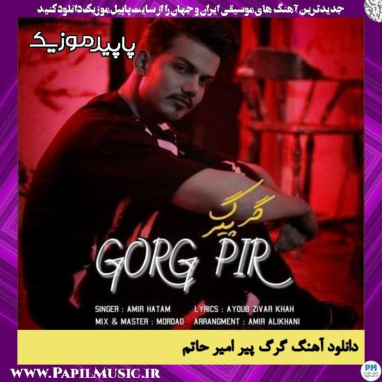 دانلود آهنگ گرگ پیر از امیر حاتم