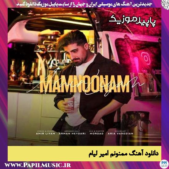 دانلود آهنگ ممنونم از امیر لیام