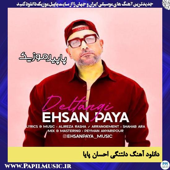 دانلود آهنگ دلتنگی از احسان پایا