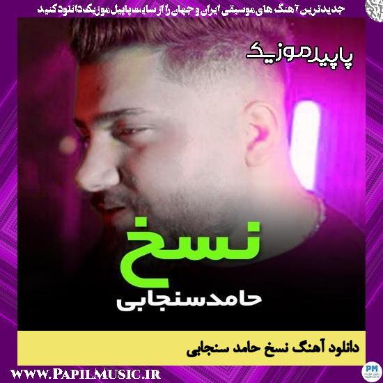 دانلود آهنگ نسخ از حامد سنجابی