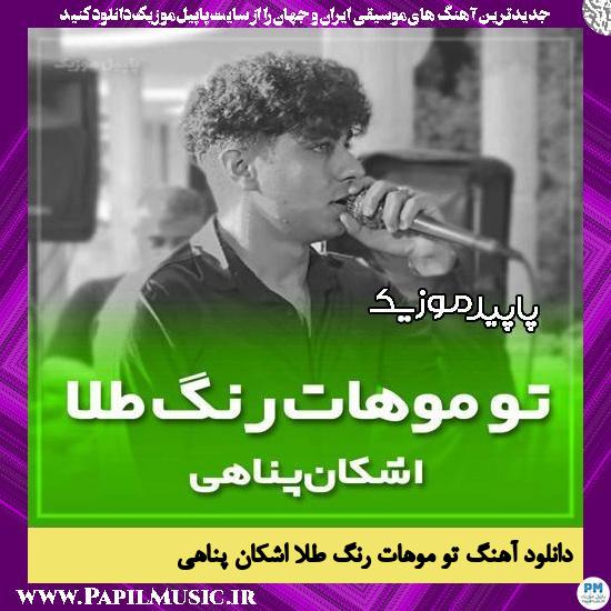 دانلود آهنگ تو موهات رنگ طلا از اشکان پناهی
