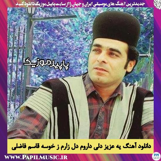 دانلود آهنگ یه عزیز دلی داروم دل زارم ز خوسه از قاسم فاضلی