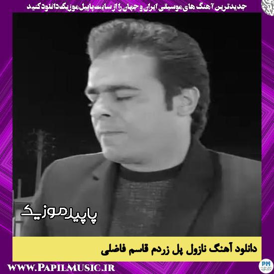 دانلود آهنگ نازول پل زردم از قاسم فاضلی