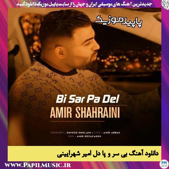 دانلود آهنگ بی سر و پا دل از امیر شهرایینی