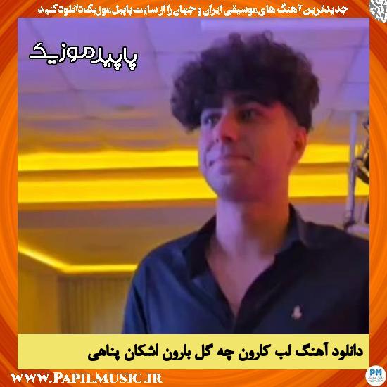دانلود آهنگ لب کارون چه گل بارون از اشکان پناهی