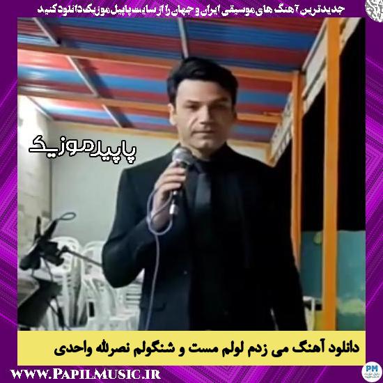 دانلود آهنگ می زدم لولم مست و شنگولم از نصرالله واحدی 1 دانلود آهنگ می زدم لولم مست و شنگولم از نصرالله واحدی