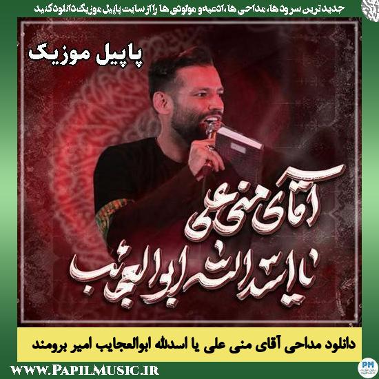 آقای منی امیر برومند