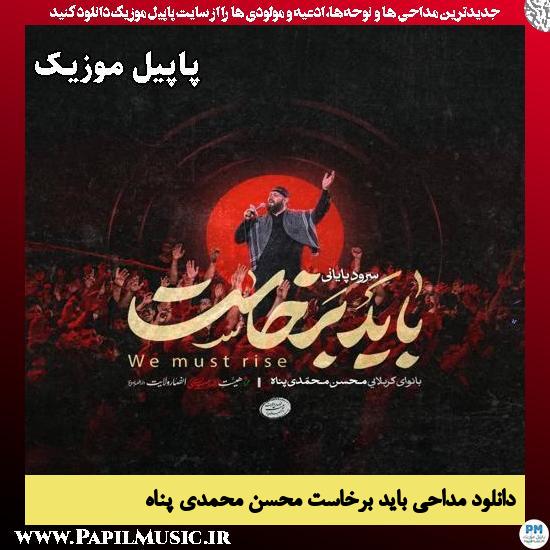 باید برخاست محسن محمدی پناه