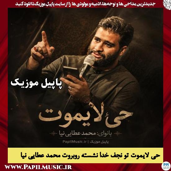 حی لایموت تو نجف خدا نشسته روبروت محمد عطایی نیا