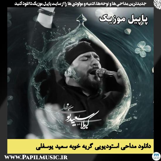 دانلود مداحی استودیویی گریه خوبه از سعید یوسفلی 1 گریه خوبه سعید یوسفلی