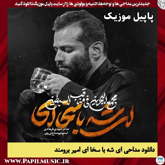 ای شه با سخا ای امیر برومند