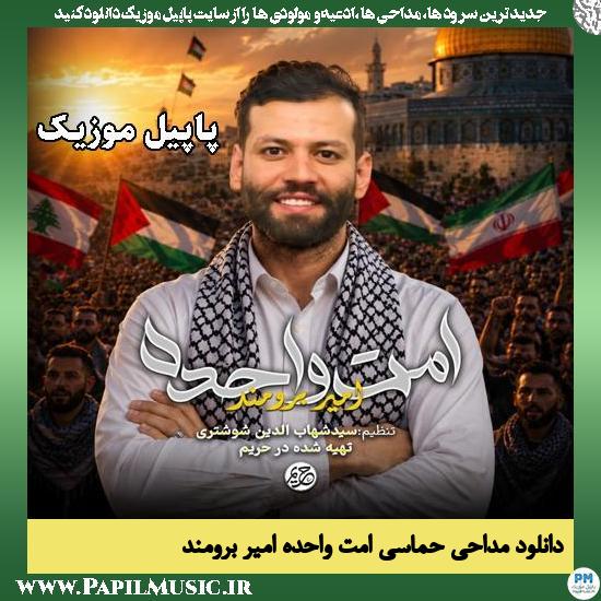 امت واحده امیر برومند