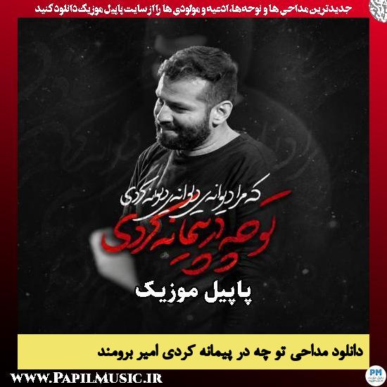 تو چه در پیمانه کردی امیر برومند