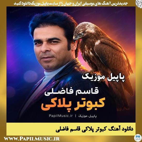 دانلود آهنگ کبوتر پلاکی از قاسم فاضلی 1 کبوتر پلاکی قاسم فاضلی