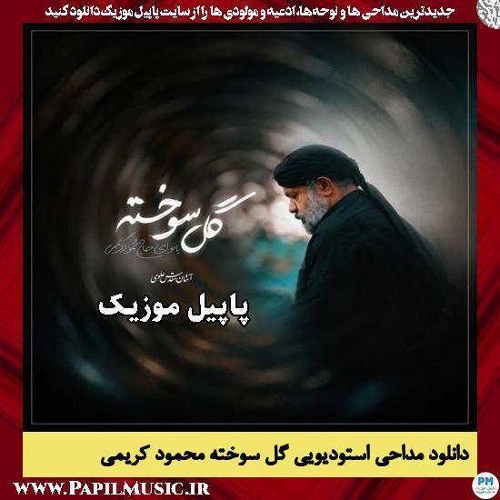 گل سوخته محمود کریمی