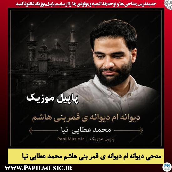 دیوانه ام دیوانه ی قمر بنی هاشم محمد عطایی نیا
