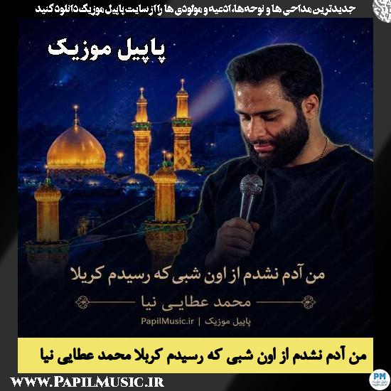 من آدم نشدم از اون شبی که رسیدم کربلا محمد عطایی نیا