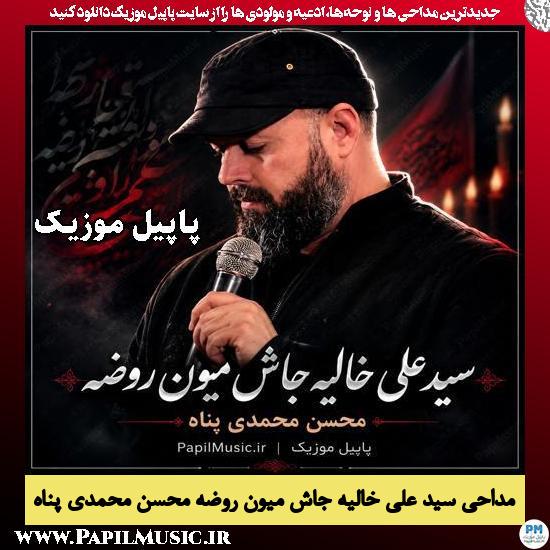 سید علی خالیه جاش میون روضه محسن محمدی پناه