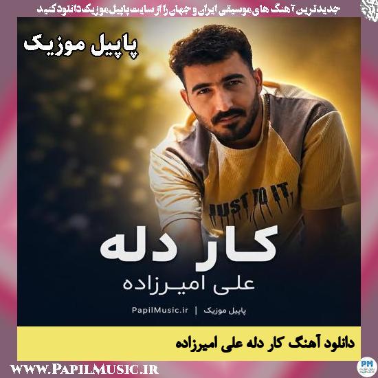 کار دله علی امیرزاده