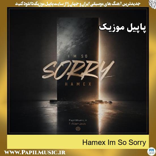 Im So Sorry For Being An Ocean Hamex