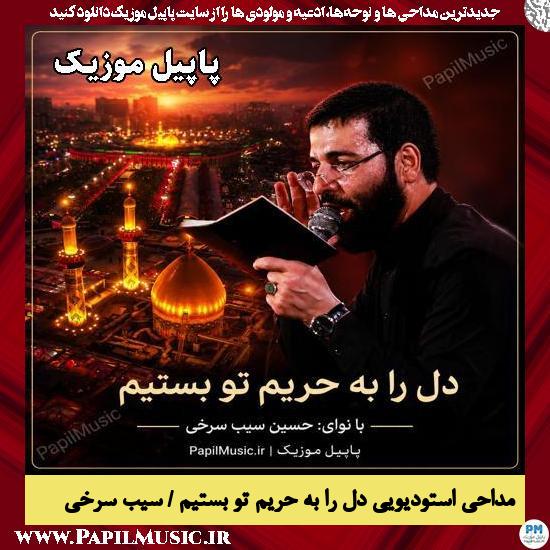 دل را به حریم تو بستیم حسین سیب سرخی