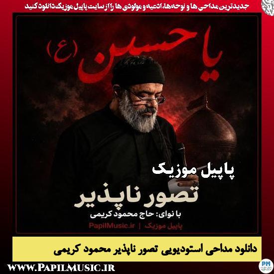 تصور ناپذیر محمود کریمی