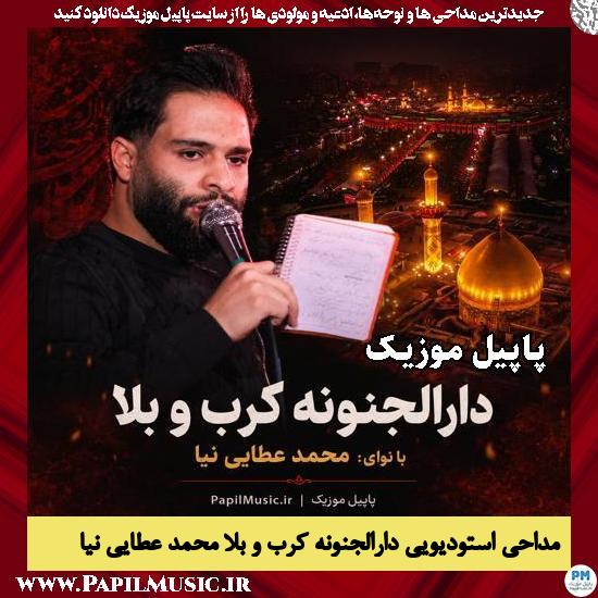 دارالجنونه کرب و بلا محمد عطایی نیا