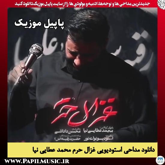 غزال حرم محمد عطایی نیا