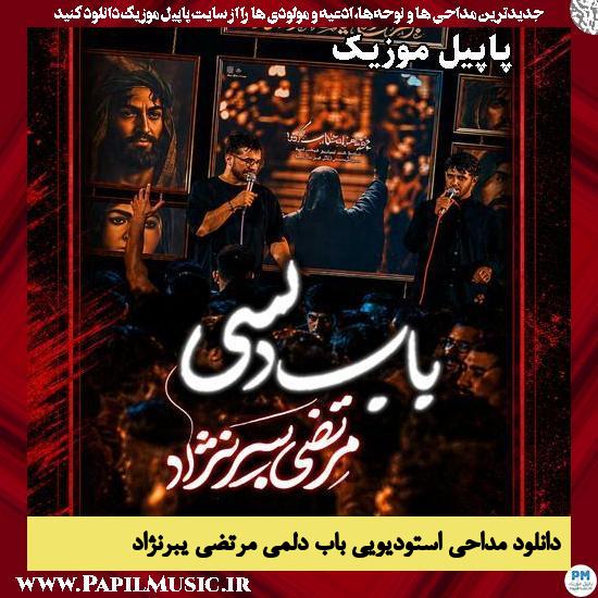 باب دلمی مرتضی یبرنژاد