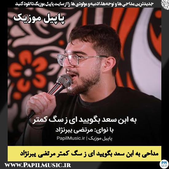 به ابن سعد بگویید ای ز سگ کمتر مرتضی یبرنژاد
