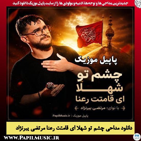 چشم تو شهلا ای قامتت رعنا مرتضی یبرنژاد
