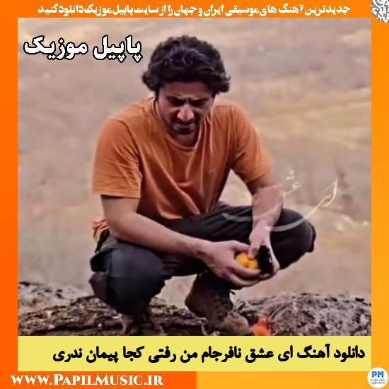 ای عشق نافرجام من رفتی كجا پیمان ندری