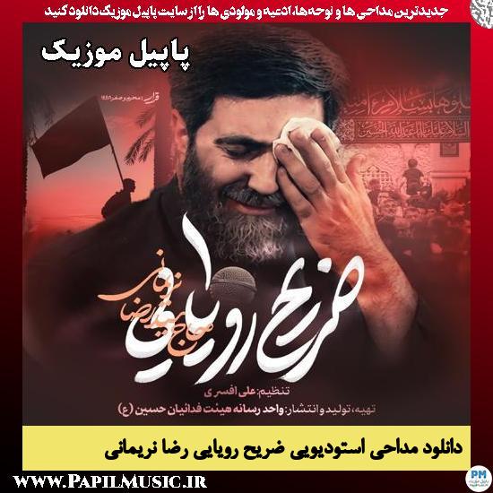 ضریح رویایی رضا نریمانی