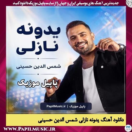 دانلود آهنگ یدونه نازلی از شمس الدین حسینی 1 یدونه نازلی شمس الدین حسینی