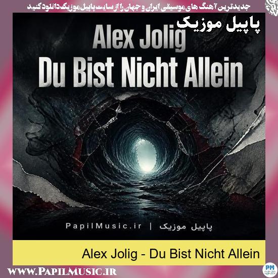 دانلود آهنگ Du Bist Nicht Allein از Alex Jolig 1 Du Bist Nicht Allein Alex Jolig