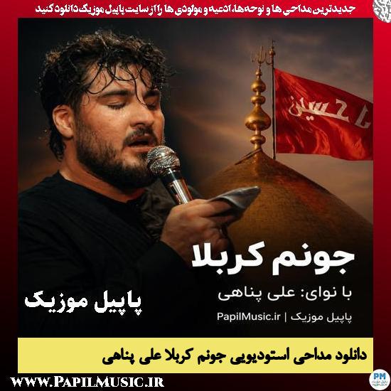 دانلود مداحی استودیویی جونم کربلا از علی پناهی 1 جونم کربلا علی پناهی