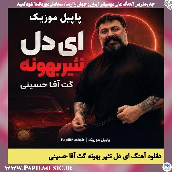 دانلود آهنگ ای دل نَئیر بهونه از گت آقا حسینی 1 ای دل نَئیر بهونه گت آقا حسینی