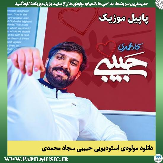 حبیبی سجاد محمدی