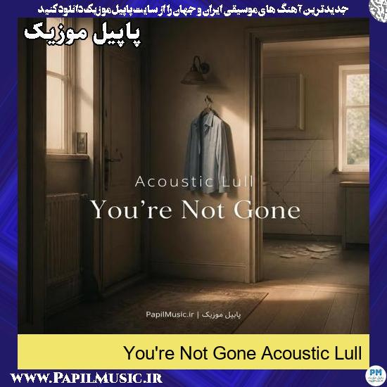 دانلود آهنگ You're Not Gone از Acoustic Lull 1 You're Not Gone Acoustic Lull