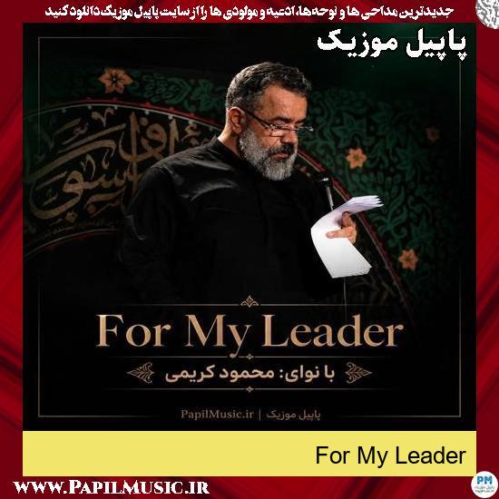 For My Leader محمود کریمی