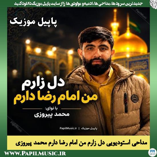 دل زارم من امام رضا دارم محمد پیروزی