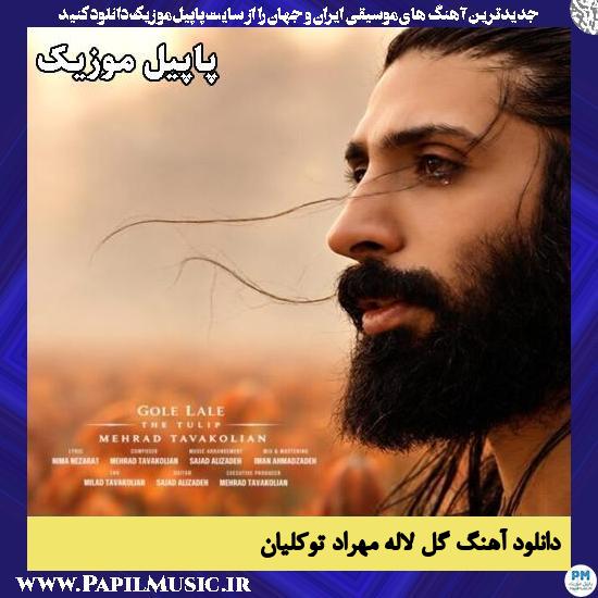 گل لاله مهراد توکلیان