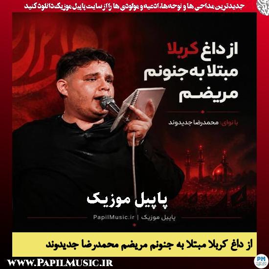 از داغ کربلا مبتلا به جنونم مریضم محمدرضا جدیدوند