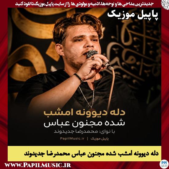 دانلود مداحی دله دیوونه امشب شده مجنون عباس از محمدرضا جدیدوند 1 دله دیوونه امشب شده مجنون عباس محمدرضا جدیدوند