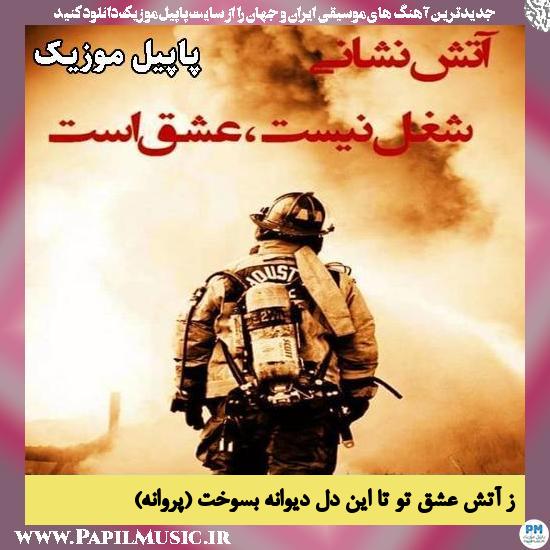 ز آتش عشق تو تا این دل دیوانه بسوخت (پروانه)